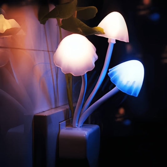 LED Night Light